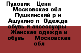 Пуховик › Цена ­ 4 000 - Московская обл., Пушкинский р-н, Ашукино п. Одежда, обувь и аксессуары » Женская одежда и обувь   . Московская обл.